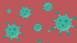Todo lo que tienes que saber sobre el coronavirus, explicado en una sencilla infografía